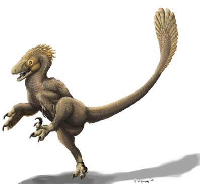 File:397px-Balaur bondoc.jpg