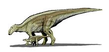 File:220px-Maiasaura BW.jpg