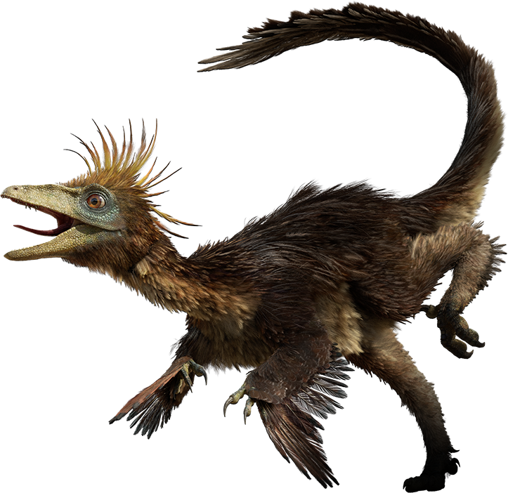 troodon dino dan