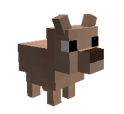 Copious Chihuahua
