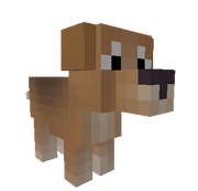 Copious Beagle