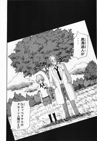 File:Coppelion 13 069.jpg