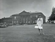 Tatton 1