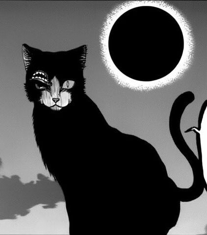File:BlackCat2.jpg