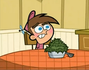 Timmy8j.png