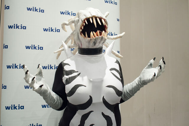 File:BlackCat NYCC.jpg