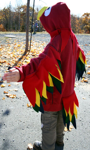 File:Parrot-kirsanova-back.jpg