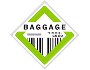 Set baggage-1-.png