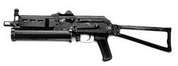 300px-Bizon.jpg