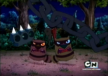 Angry raccoons