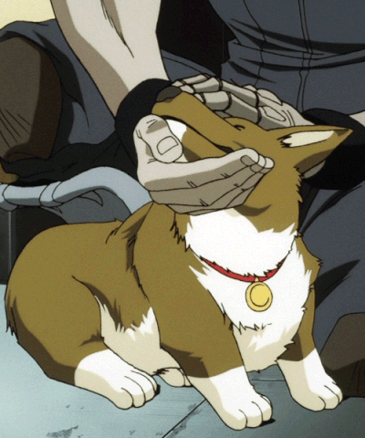 File:Ein-good-boy.gif