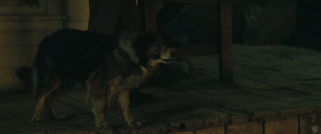 File:Trailer31.jpg