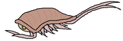 Kull