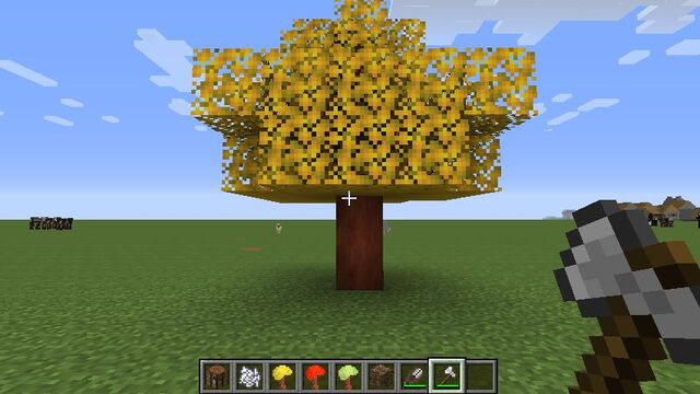 Plik:Goldenrod Autumn.jpg