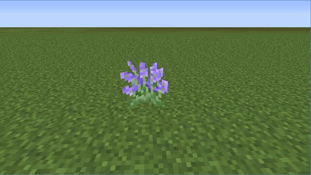 Plik:Lavender.jpg