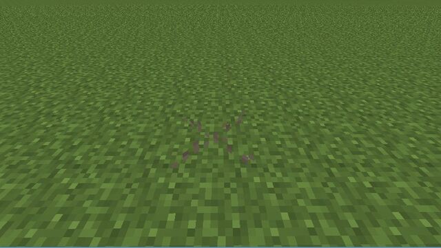 Plik:Dead Grass.jpg