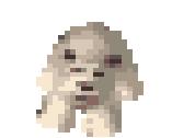 Polarbear.jpg
