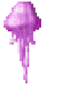 MedusaXS.png