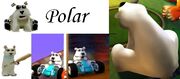 PolarPoster.jpg