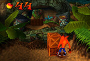 Crash Bandicoot1.jpg