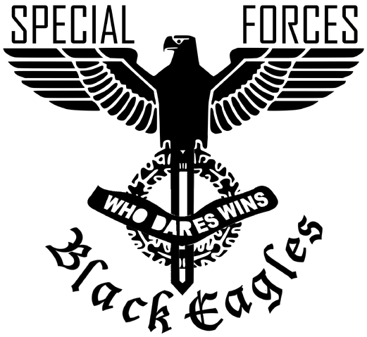 File:Black Eagles Logo.png