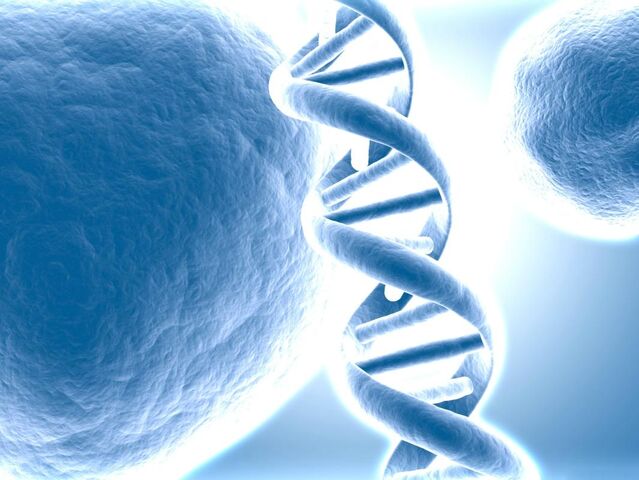 File:Dna-molekulu.jpg