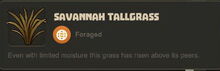Creativerse Savannah Tallgrass3030