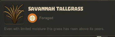 Creativerse Savannah Tallgrass3030