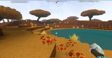 Creativerse Savannah1675