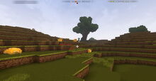 Creativerse Grassland001