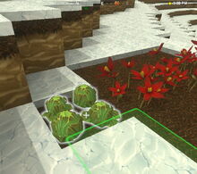 Creativerse Lettuce Tundra3030