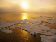 What-global-warming 6372 600x450