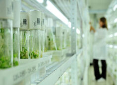 Columbia-gene-bank