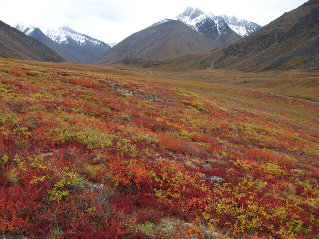 File:Terraforming imvusa ikhaya.jpg
