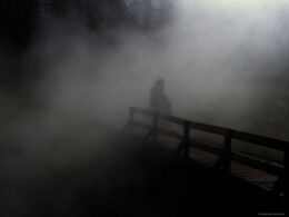 Foggy pier