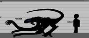 Poacher Lineup