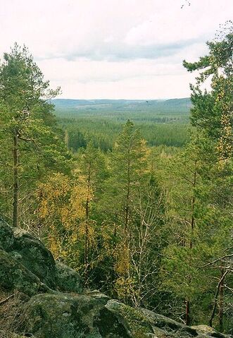 File:414px-Norra Kvill Nationalpark.jpg