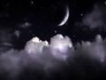Thumbnail for version as of 17:55, April 15, 2011