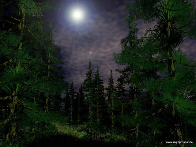 File:Magicforest.jpg