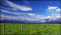 Thumbnail for version as of 17:18, April 15, 2011