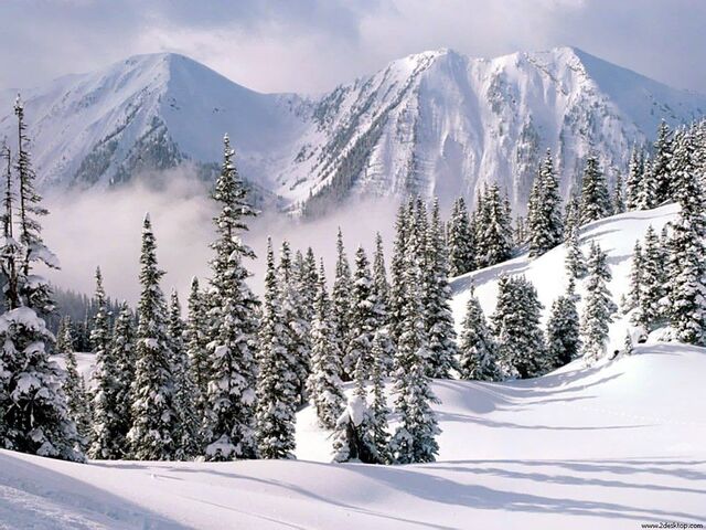 File:Winter2.jpg