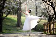 Spring