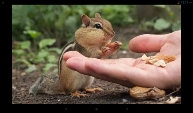 File:Screenshot 2014-07-23-12-39-02.png