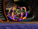 Macrobacteria