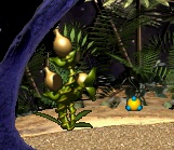 PearPlant