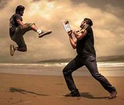 Peleas