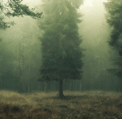 File:Tumblr metvkr2zFh1qas1mto11 r3 1280.jpg