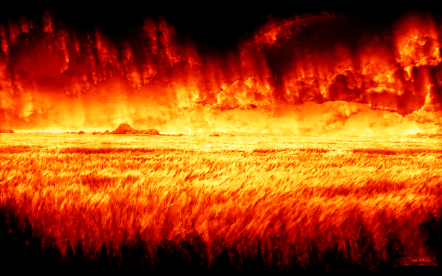 Datei:Url.png