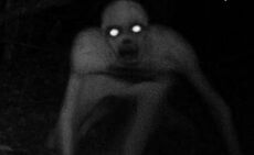 Hoax1