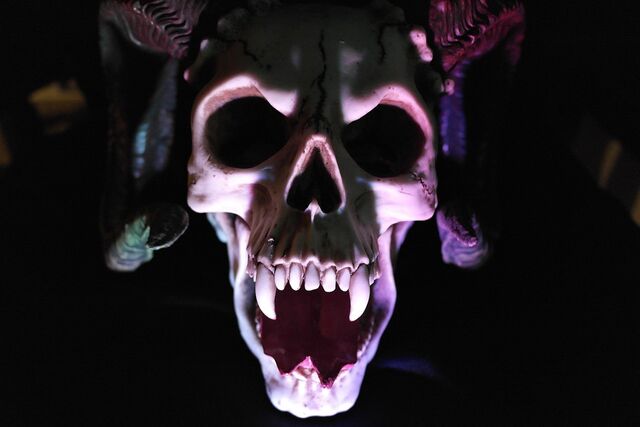 Datei:Skull-535745 960 720.jpg